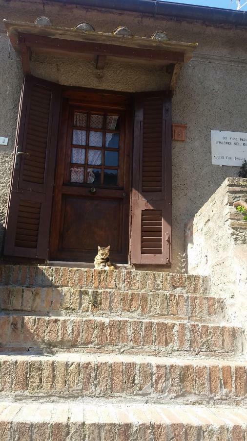 Torre Rossa Apartment Bolgheri Exterior photo